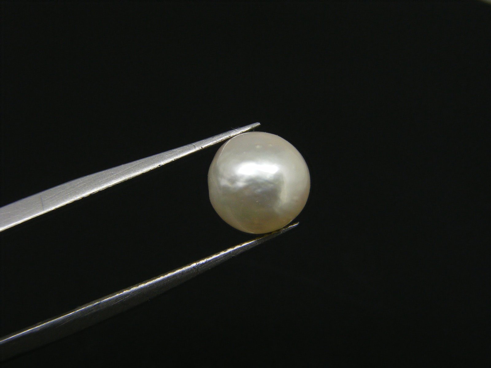 Fresh water Natural Pearl