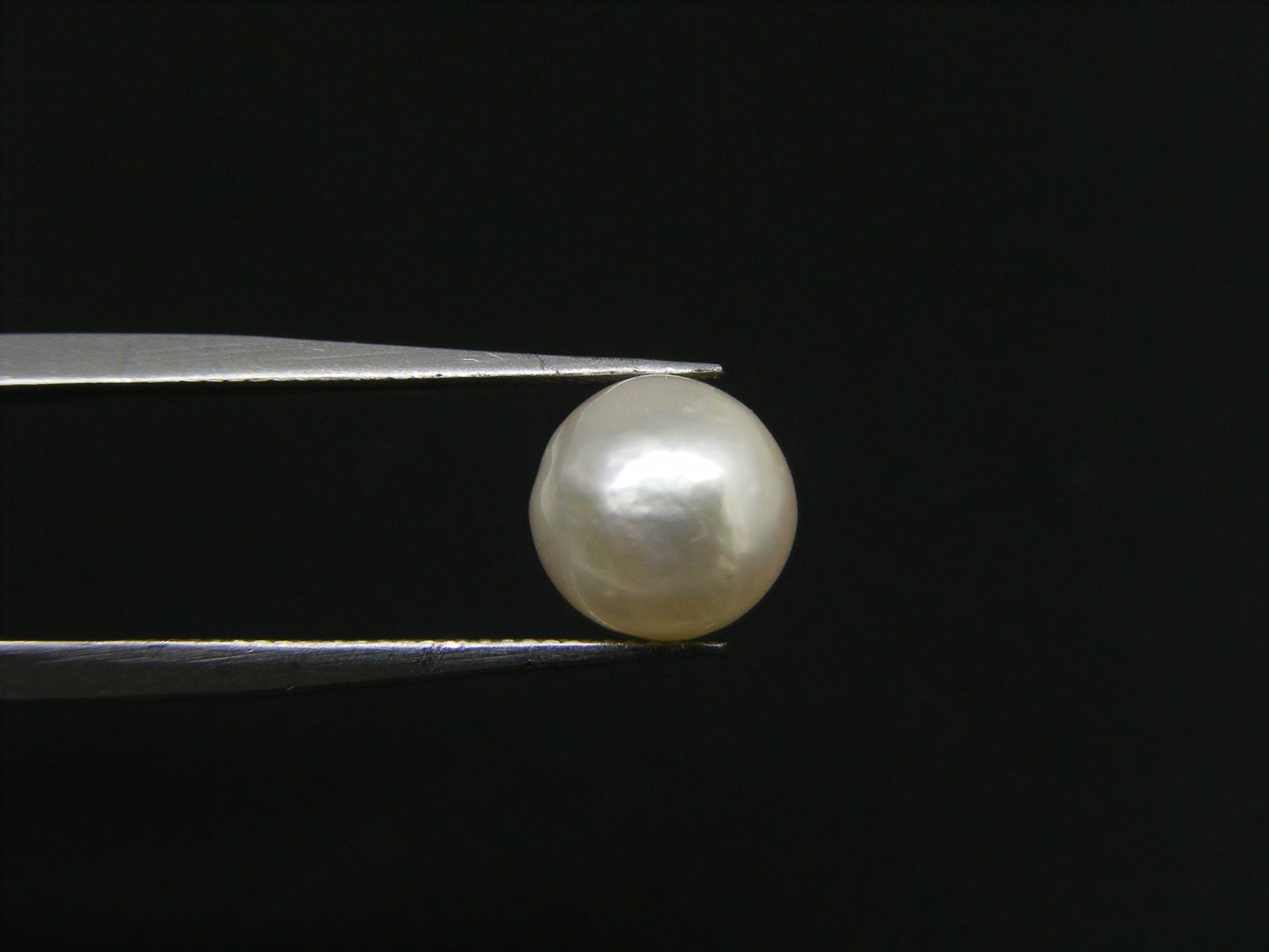 Fresh water Natural Pearl