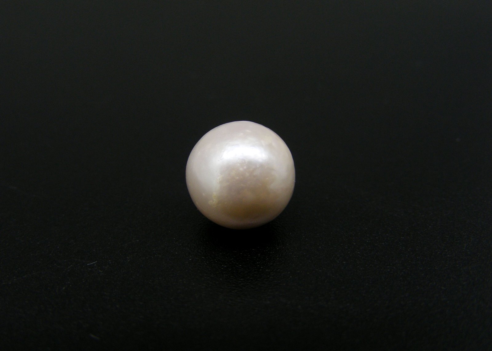 South Sea Pearl